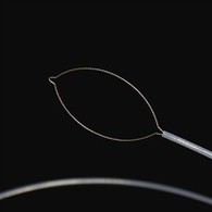 Nɔ hɛn agbaza mɛtɔn ɖó te bo nɔ hɛn agbaza mɛtɔn ɖó mimɛ̌ jí